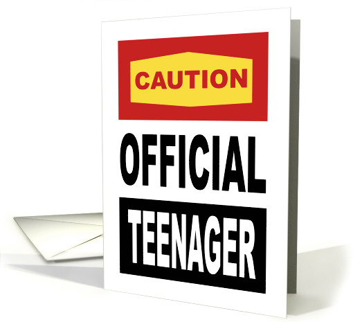 13th Birthday Card Caution Official Teenager May Contain Attitude card