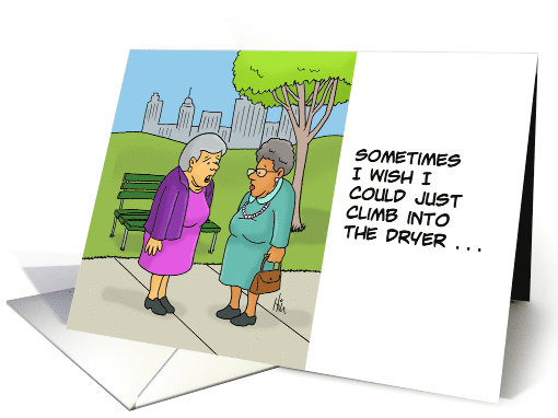 Friendship I Wish I Could Climb Into The Dryer To Remove Wrinkles card