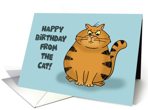 Happy Birthday From The Cat I Left Your Present Is In The... (1683982)