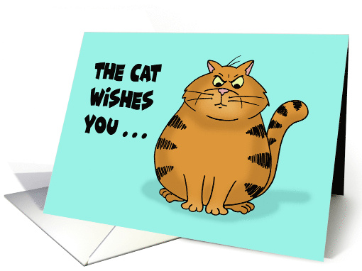 Humorous Birthday With Angry Cat Cartoon The Cat Wishes... (1686580)
