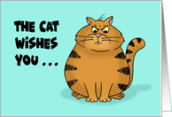 Humorous Birthday With Angry Cat Cartoon The Cat Wishes You Nothing card