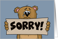 Apology Card With...