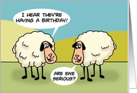Humorous Birthday Card With Two Cartoon Sheep Are Ewe Serious card