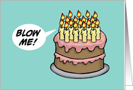 Humor Birthday With Cartoon Cake And Candles Saying Blow Me card