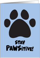 Humorous Encouragement With Paw Print Stay Pawsitive card