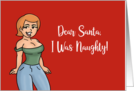Humorous Christmas Dear Santa I Was Naughty It Was Worth It card
