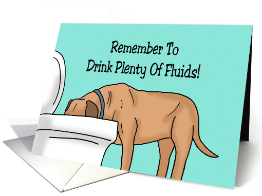 Humorous Get Well With Cartoon Dog Drinking Out Of Toilet Bowl card