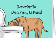 Humorous Get Well With Cartoon Dog Drinking Out Of Toilet Bowl card