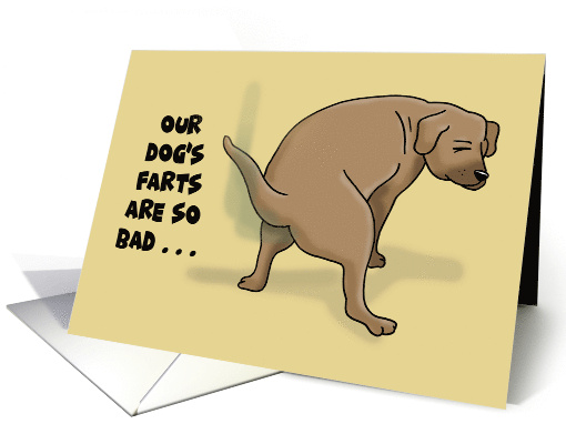 Humorous National Dog Day Our Dog's Farts Are So Bad We Blame card