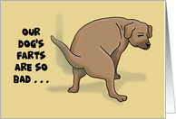 Humorous National Dog Day Our Dog’s Farts Are So Bad We Blame card