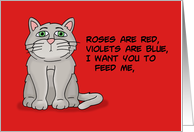Valentine From Cat...