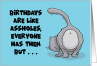 Adult Birthday With Cartoon Cat’s Rear End Birthdays Are Like Assholes card