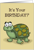 Birthday With Cartoon Tortoise It’s Your Birthday Let’s Shellabrate card