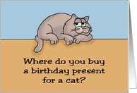 Humorous Birthday Where Do You Buy A Present For A Cat card