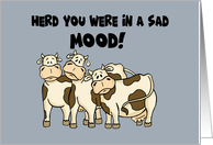 Humorous Cow Encouragement Herd You Were In A Sad Mood card
