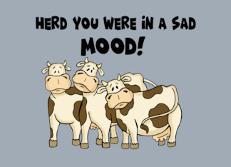 Humorous Cow Encouragement Herd You Were In A Sad Mood