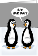Humorous Blank Card With Two Penguins Bad Hair Day card