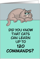 Humorous Hello Cats Can Learn Up To 120 Commands Don’t Want To card