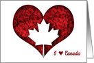 Red Theme Canada Day I Love Canada Rose Special on 150th Anniversary card