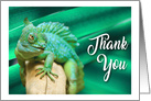 Thank You note with Smiling Green Lizard Blank card