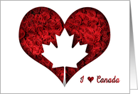 Red Theme Canada Day I Love Canada Rose Special on 150th Anniversary card