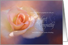 A Beautiful Rose Expresses Comfort and Sympathy card