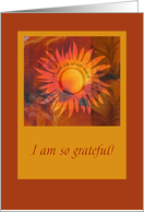 Warm Colored Thank You with Sun and Leaf Images card