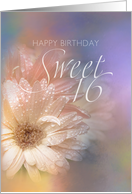 Sweet 16 Happy Birthday card