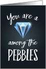 Caregiver Thanks - You are a Diamond among the Pebbles card