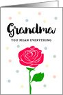 Happy Mother’s Day - Grandma, You Mean Everything card