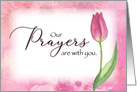Sympathy Our Prayers are With You with Watercolor Tulip card