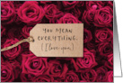 Happy Anniversary You Mean Everything and I Love you card