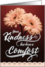 Sympathy Thanks Your Kindness Has Been a Comfort card
