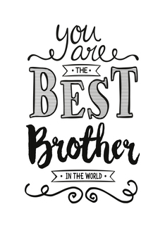 Best Brother in the...