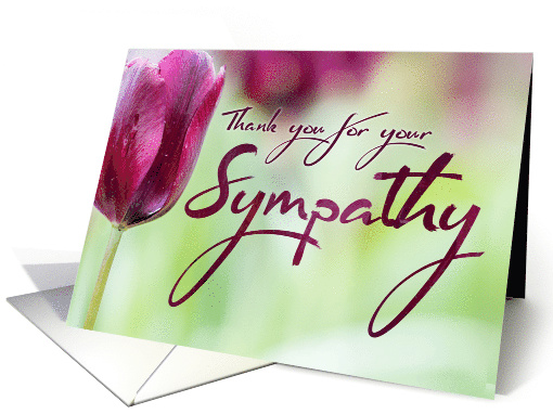 Thank You for your Sympathy, with Beautiful Tulip Background card