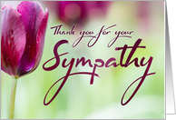 Thank You for your Sympathy, with Beautiful Tulip Background card