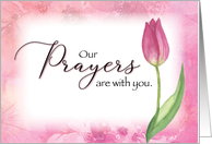 Sympathy Our Prayers are With You with Watercolor Tulip card