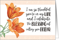 Friend Thanks, I’m so Thankful You’re in My Life, You’re a BLESSING card