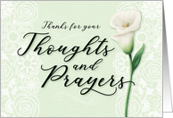 Sympathy Thanks, Thanks for your Thoughts and Prayers with Lily card