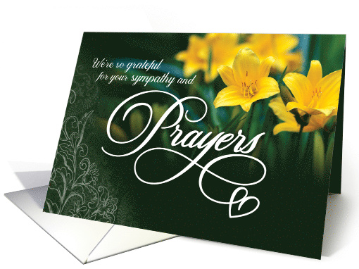 Sympathy Thanks, We're so Grateful for your Sympathy and Prayers card