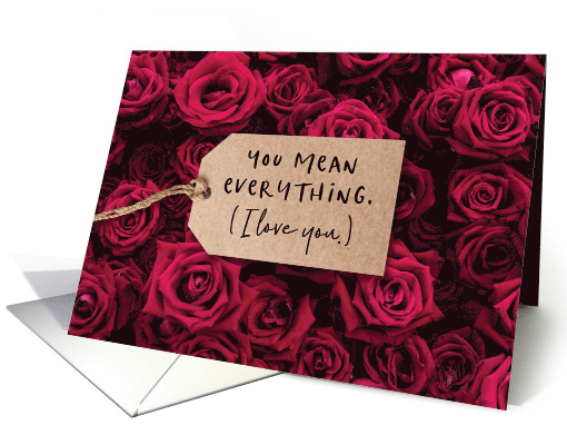 Happy Anniversary You Mean Everything and I Love you card (1666030)