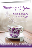 Friendship Thanks Thinking of You with Sincere Gratitude card
