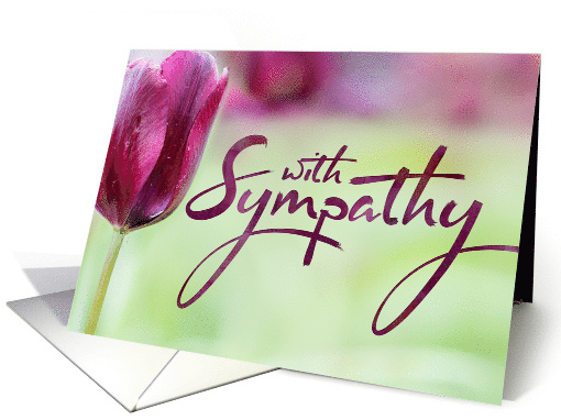 With Sympathy with Beautiful Purple Tulip Background card (1686430)