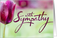 With Sympathy with...