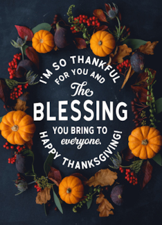Happy Thanksgiving I...