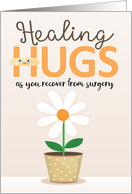 Healing Hugs Get Well Soon after Surgery with Watercolor Daisy in Pot card