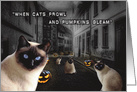 Cats Prowl and Pumpkins Gleam on Halloween card