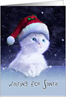 Cute White Cat Waiting for Santa in a Christmas Season Snowfall Night from Pet card