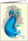Peacock Pastel Art Thinking of You card