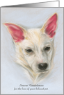 Pet Loss Sympathy Carolina Dog Pastel card